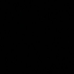 Meet your Posher, Ben